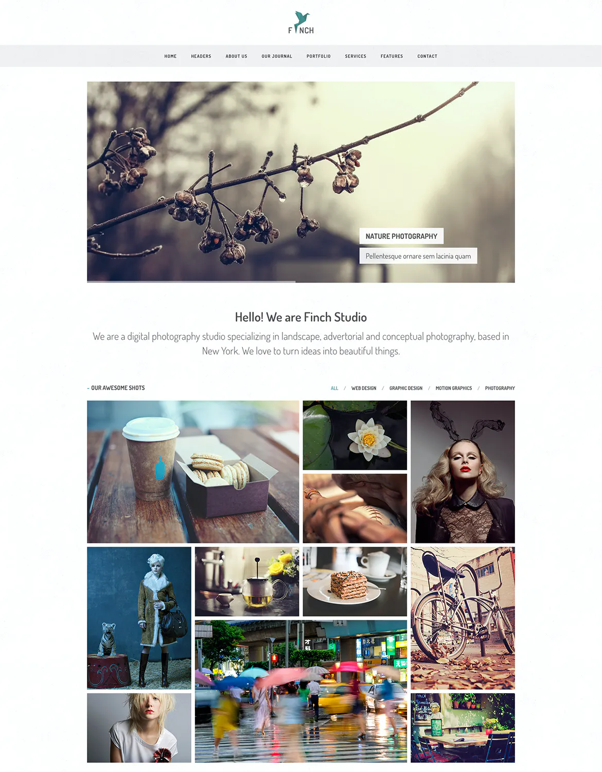 Finch – Photography & Magazine Site Template